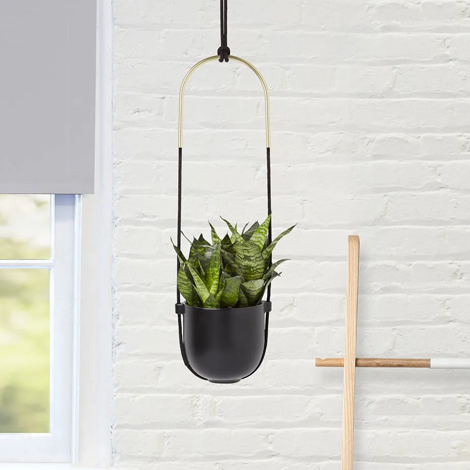 Bolo Hanging Planter