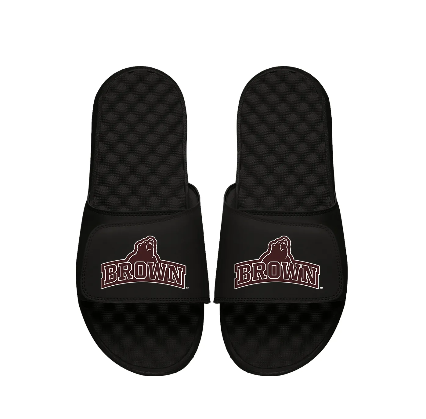 Brown University Mascot Wordmark