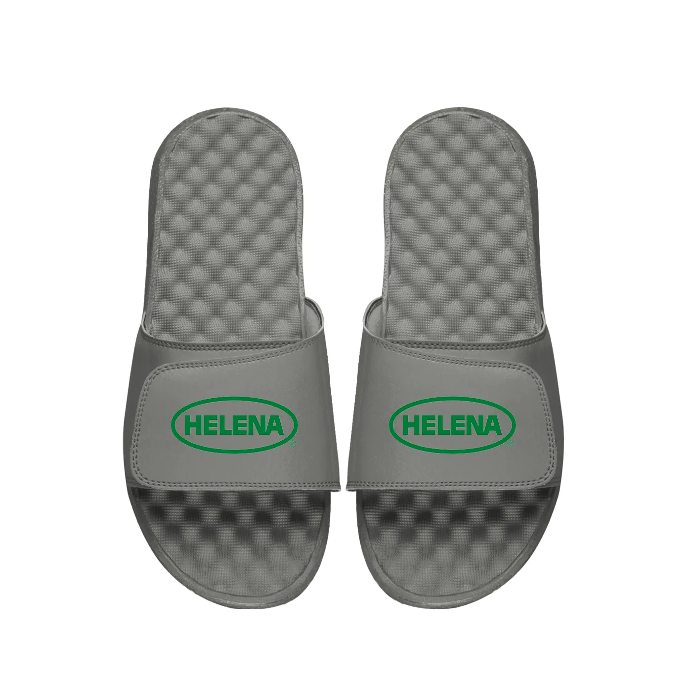 Helena Primary Grey Slides