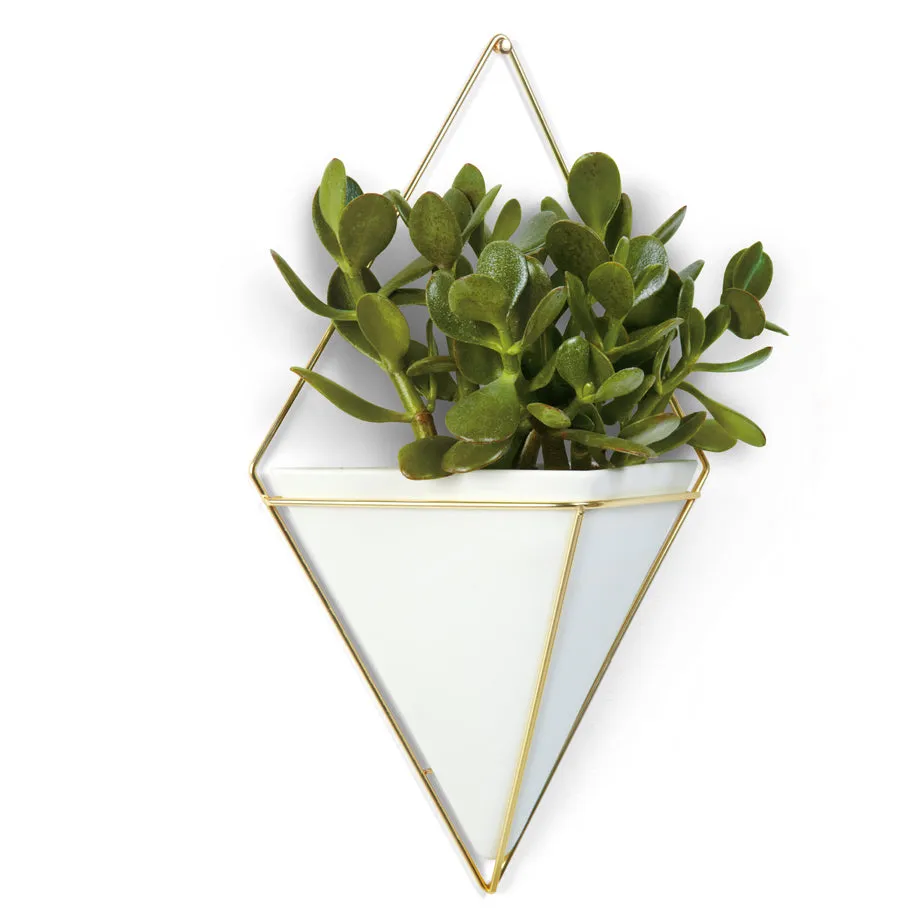 Trigg Wall Vessel